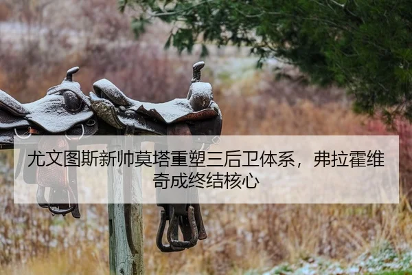 尤文图斯新帅莫塔重塑三后卫体系，弗拉霍维奇成终结核心